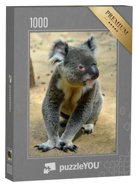 Puzzel 1000 stukjes „Koala, zittend op de grond, Queensland, Australië“