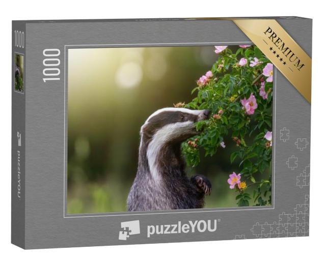 Puzzel 1000 stukjes „Das die op zijn achterpoten staat en aan een wilde rozenbloesem snuffelt“