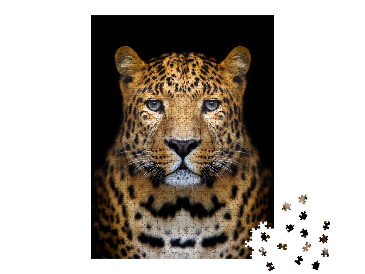 Puzzle 1000 Teile „Nahaufnahme Leopard: Porträt auf dunklem Hintergrund“