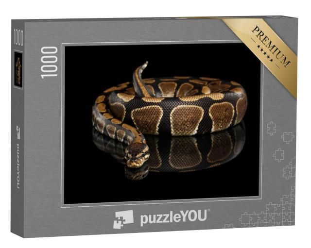 Puzzel 1000 stukjes „Koninklijke python“