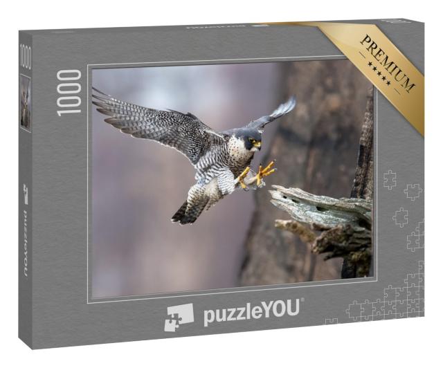 Puzzle 1000 Teile „Wanderfalke im perfekten Landeanflug“