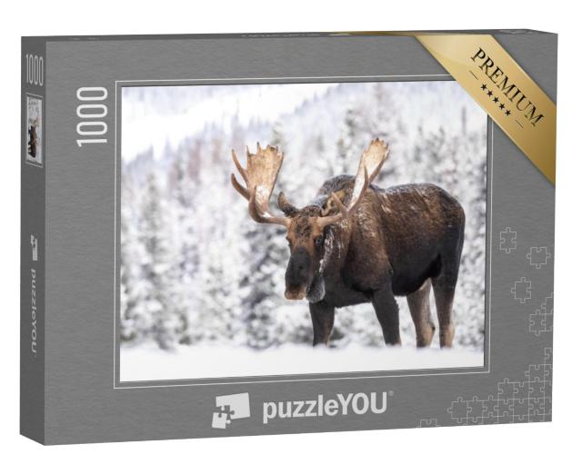 Puzzel 1000 stukjes „Elanden in de sneeuw in Jasper, Canada“