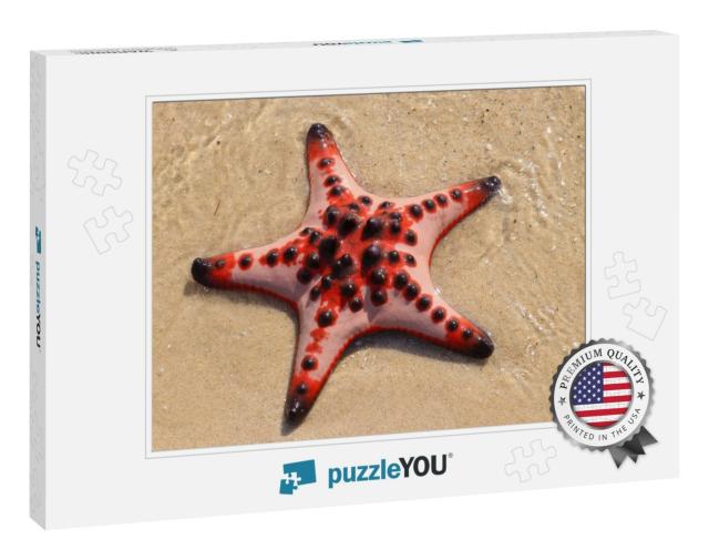 Red Starfish on White Sand on Sunny Tropical Beach. View... Jigsaw Puzzle