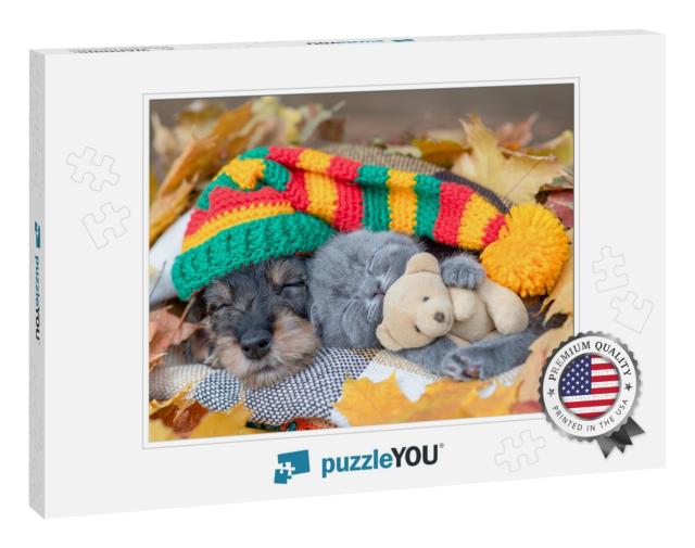 Dachshund Puppy Wearing Warm Hat & Kitten Hugging Toy Bea... Jigsaw Puzzle