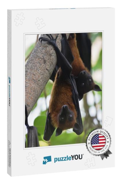 Two Bats Indian Flying Fox Hanging At a Tree in a Forest... Jigsaw Puzzle