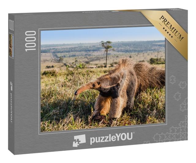 Puzzle 1000 Teile „Ein wilder Riesenameisenbär auf der Weide“
