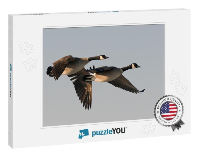 Pair of Flying Geese... Jigsaw Puzzle