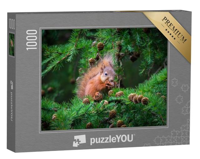 Puzzel 1000 stukjes „De kleine eekhoorn in de boom“