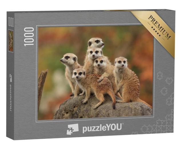 Puzzel 1000 stukjes „Groep stokstaartjes“