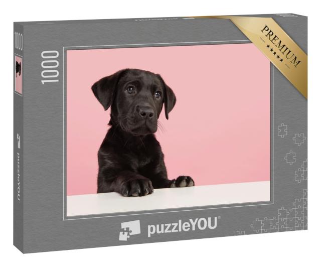 Puzzle 1000 Teile „Süßer schwarzer Labrador-Retriever-Welpe“
