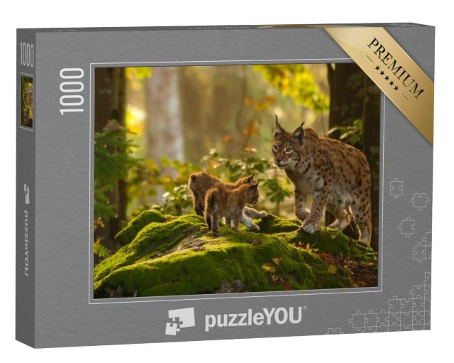 Puzzel 1000 stukjes „Jonge lynxen“