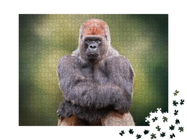 Puzzle 1000 Teile „Porträt eines Silberrücken-Gorillas, der seine Hände kreuzt“