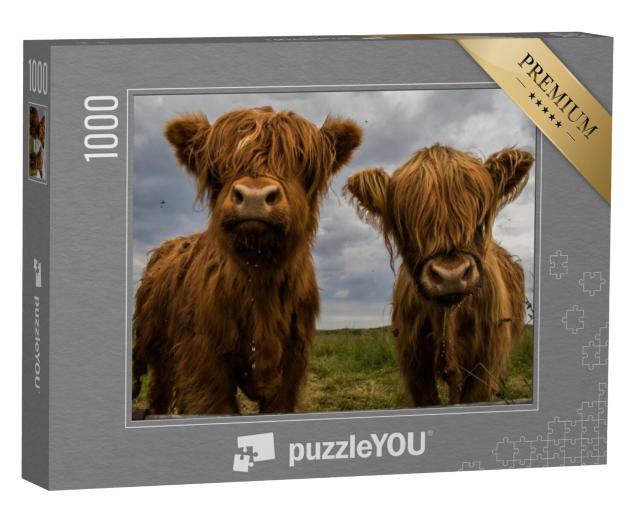 Puzzel 1000 stukjes „Twee hooglandrunderen“