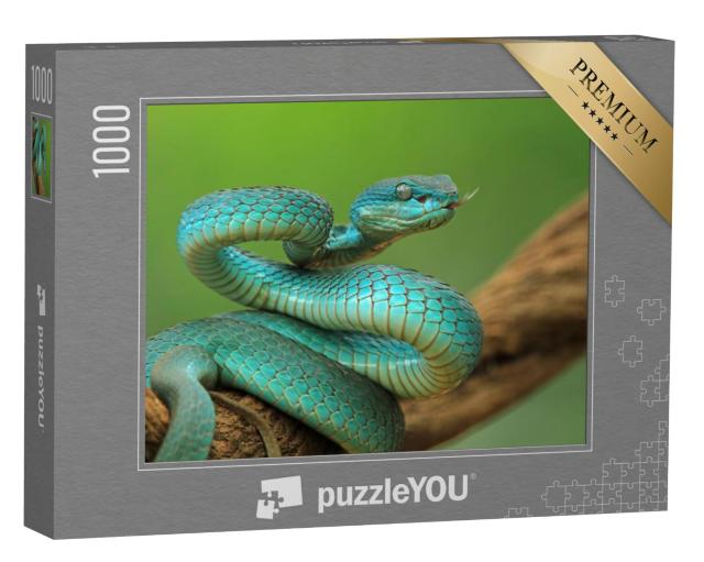 Puzzel 1000 stukjes „Slang op een tak, blauwe eilandslang klaar om aan te vallen“