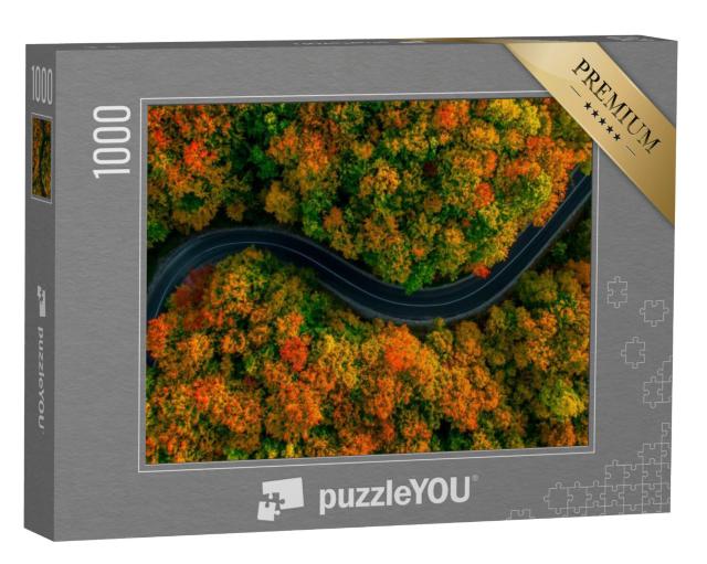 Puzzel 1000 stukjes „Vogelvlucht: kronkelweg in het dichte herfstbos“