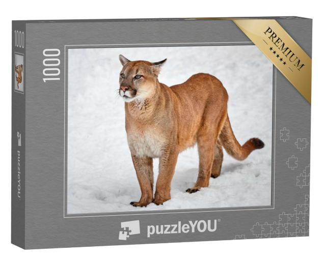 Puzzel 1000 stukjes „Poema als wilde kat in de sneeuw“