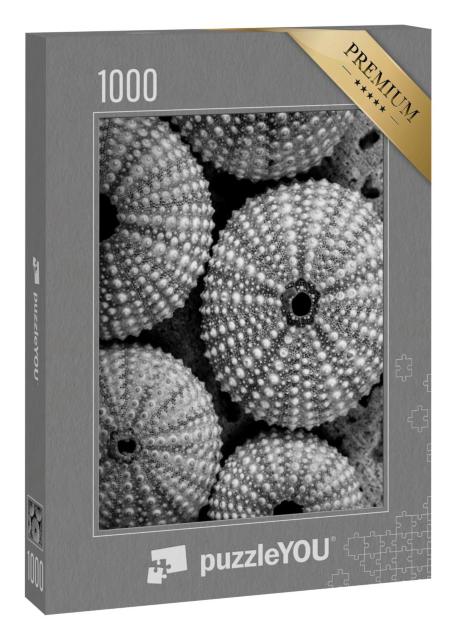Puzzle 1000 Teile „Eine schöne Schwarz-Weiß-Fotografie von einzigartigen Seeigel-Muscheln.“