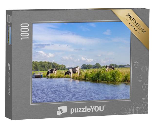 Puzzel 1000 stukjes „Panorama van koeien op de Vecht bij Hardenberg, Nederland“