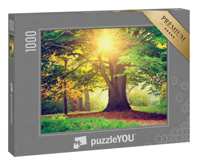 Puzzle 1000 Teile „Abend im Park“