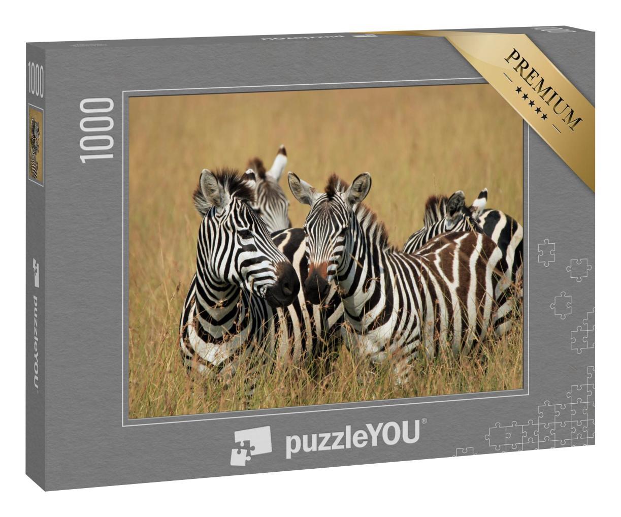 Puzzle 1000 Teile „Steppenzebras im hohen Gras der Savanne, Maasai Mara, Kenia“