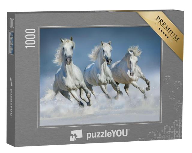 Puzzel 1000 stukjes „Groep Arabische paarden in galop door de sneeuw“