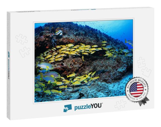 Beautiful Tropical Coral Reef & Shoal of Colorful Fish Un... Jigsaw Puzzle