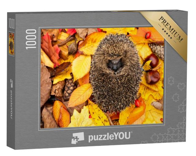 Puzzel 1000 stukjes „Opgekrulde egel, slapend in de herfstbladeren“