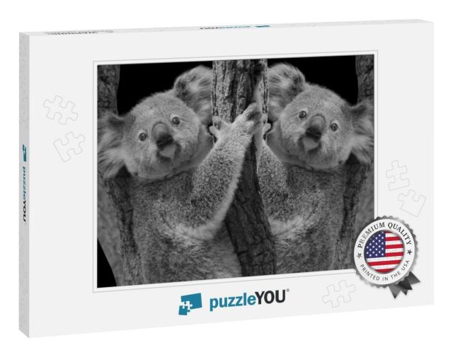 Two Cute Koala Bear Sitting on the Tree... Jigsaw Puzzle