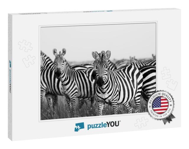 Zebra Stripes from Masai Mara... Jigsaw Puzzle