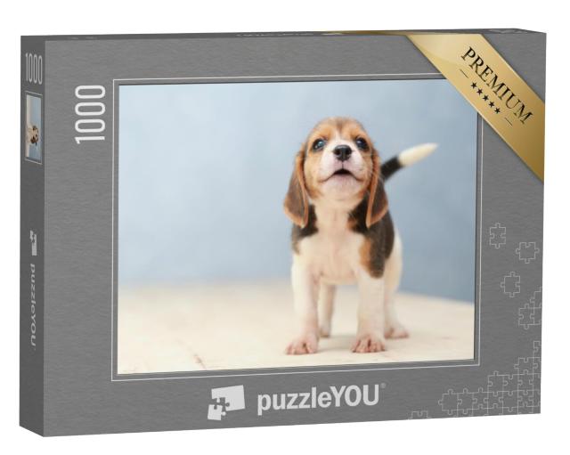 Puzzel 1000 stukjes „Schattige kleine beagle puppy“