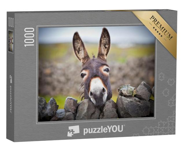 Puzzel 1000 stukjes „Een nieuwsgierige ezel“