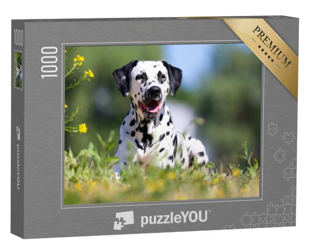 Puzzel 1000 stukjes „Dalmatiërs in de zomer“