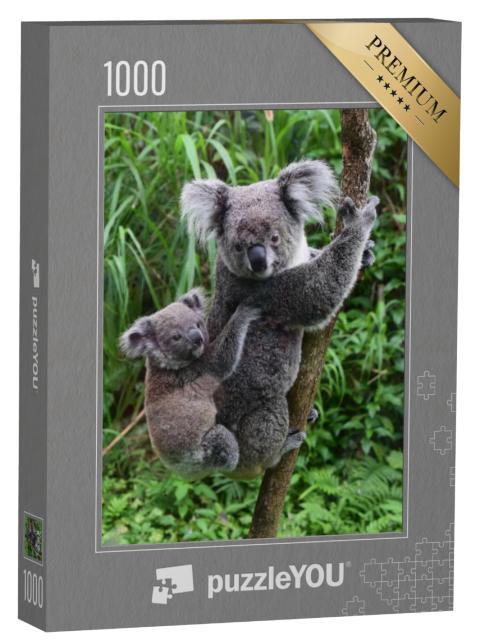 Puzzel 1000 stukjes „Koalababy op de rug van zijn moeder in de dierentuin van Taipei, Taiwan“