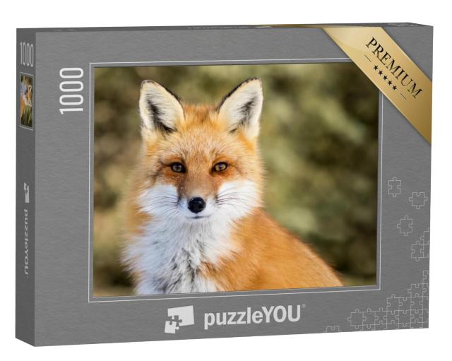 Puzzel 1000 stukjes „Vulpes vulpes: Rode vos in sneeuw, bokeh“