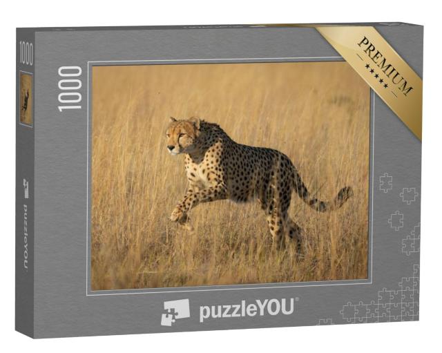 Puzzel 1000 stukjes „Studie van een springend jachtluipaard in Savuti, Botswana“