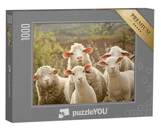 Puzzel 1000 stukjes „Nieuwsgierig schaap“