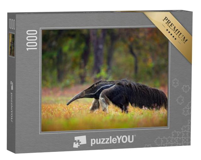 Puzzel 1000 stukjes „De miereneter, een dier uit Brazilië“