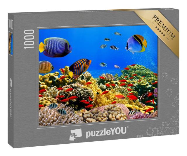 Puzzle 1000 Teile „Foto einer Korallenkolonie auf einem Riff, Rotes Meer, Ägypten“