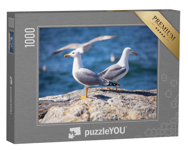 Puzzel 1000 stukjes „Twee meeuwen op het strand“