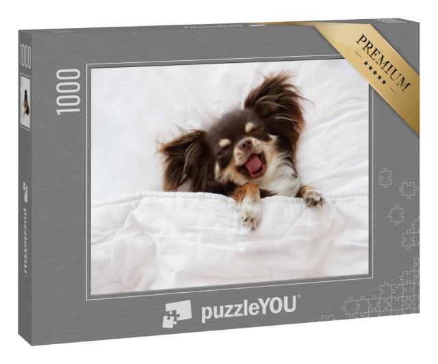 Puzzle 1000 Teile „Chihuahua-Hund schläft auf einem Kissen im Bett“