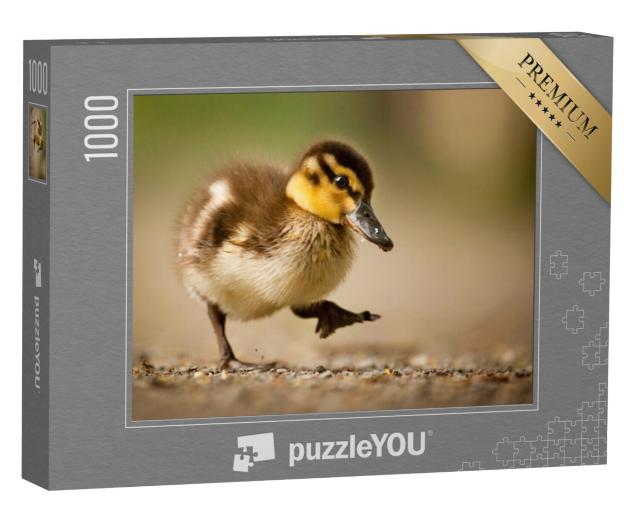 Puzzel 1000 stukjes „Eend“