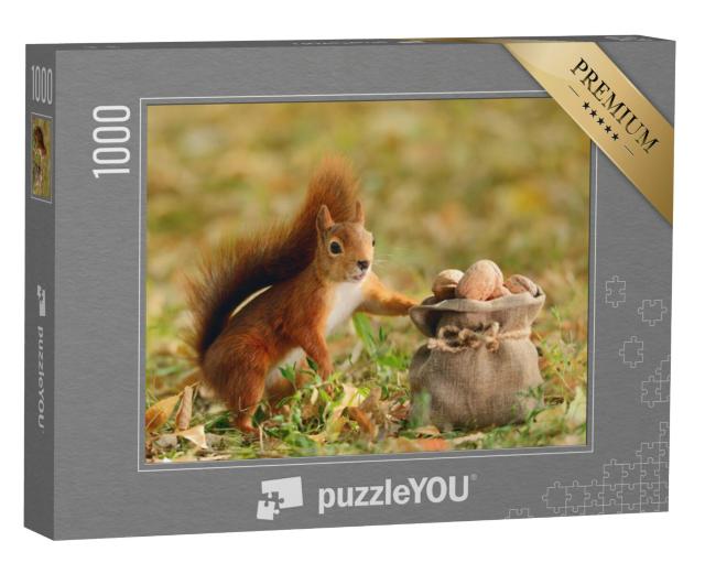 Puzzel 1000 stukjes „Portret van een rode eekhoorn met een zak noten“