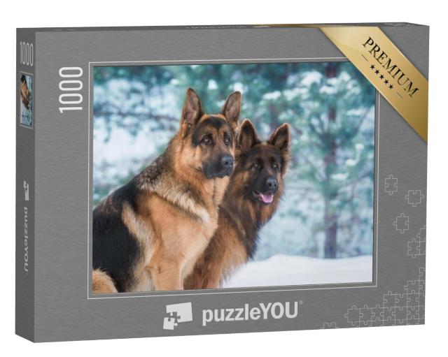 Puzzel 1000 stukjes „Portret van twee Duitse herders in de winter“