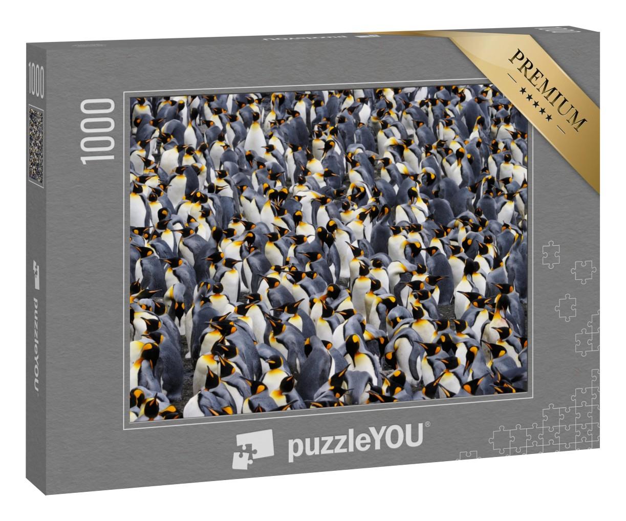 Puzzle 1000 Teile „Königspinguin-Kolonie“