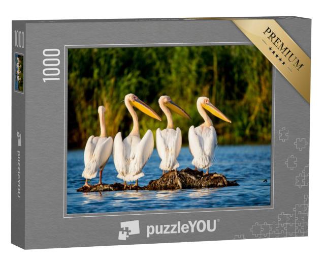 Puzzel 1000 stukjes „Pelikaankolonie in de Donaudelta, Roemenië“