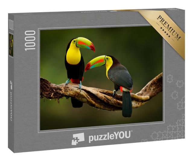 Puzzle 1000 Teile „Tukan sitzt auf einem Ast im Wald, prächtige Vegetation von Costa Rica“