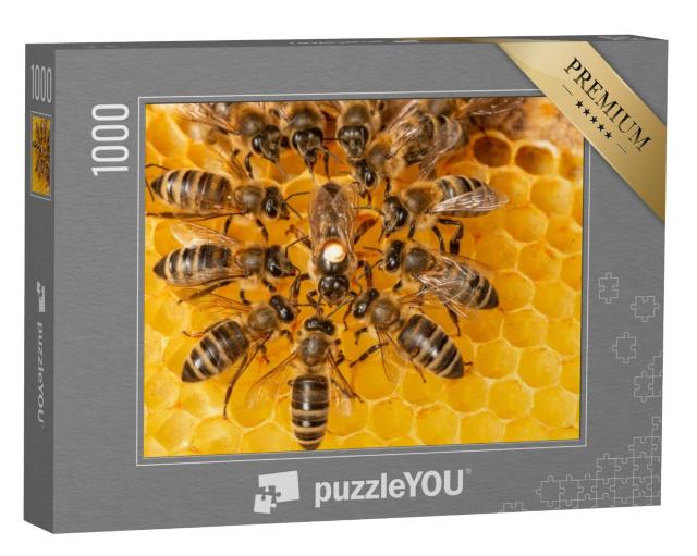 Puzzel 1000 stukjes „Bijenkoningin omringd door werksters“