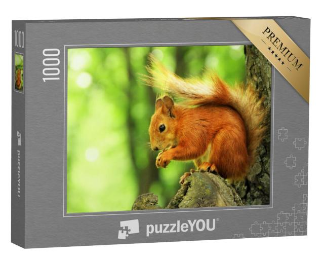 Puzzel 1000 stukjes „Mooie rode eekhoorn in het park“