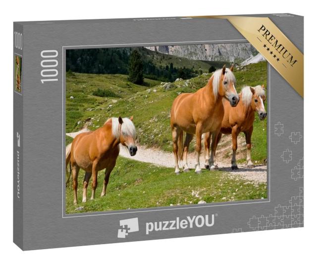 Puzzle 1000 Teile „Drei Haflingerpferde auf einer Alm in Südtirol, Italien“