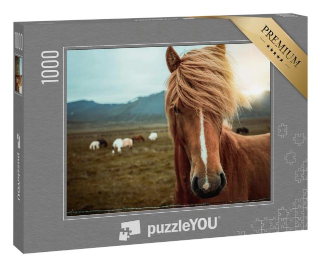 Puzzle 1000 Teile „Islandpferd in einer in der Natur Islands“